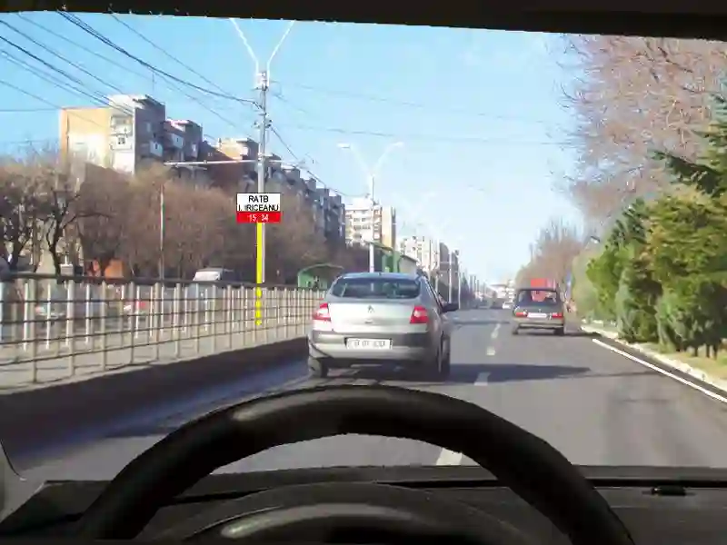 Este permisă oprirea în situația dată?